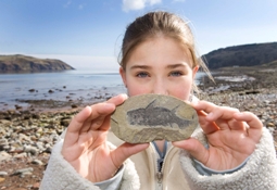 A specimen of Diplacanthus crassisimus found at Hugh Miller’s collecting locality in Cromarty - used in a workshop held on the occasion of the launch of the Scottish Fossil Code for Cromarty Primary School pupils. Image copyright SNH.