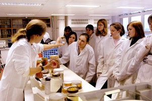 On board Callista – 6th form students investigating the contents of a trawl net